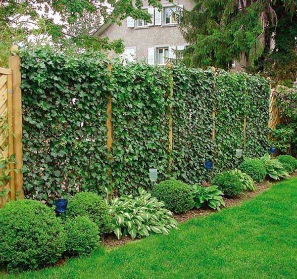 The most natural way is to plant plants