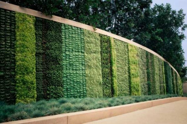 A real green fence, but not from shrubs, but from herbs in pots