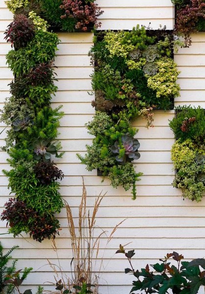 The wall of the house can also be decorated in a similar way.