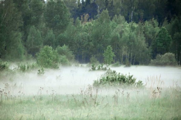 By the concentration of fog, you can determine where the water is closer
