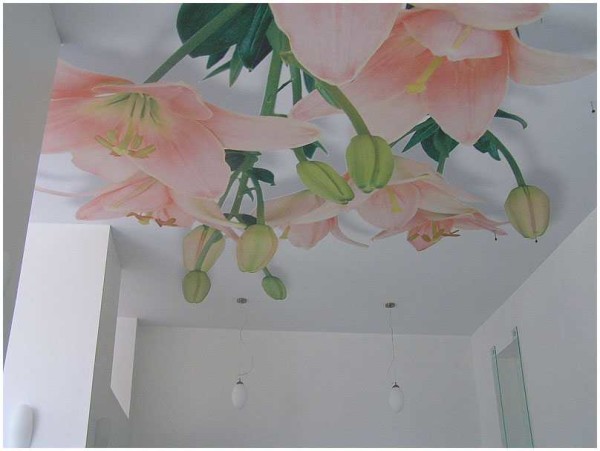 Photo printing can only be applied to fabric