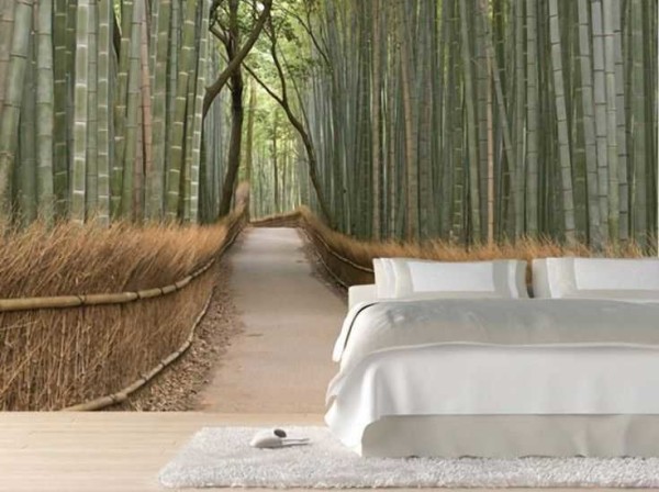 The path in the bamboo forest ...