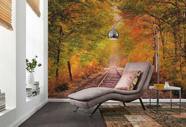Autumn forest promotes relaxation