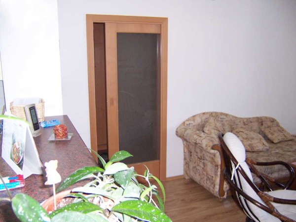 Cassette sliding interior door: the canvas is hidden in the wall niche