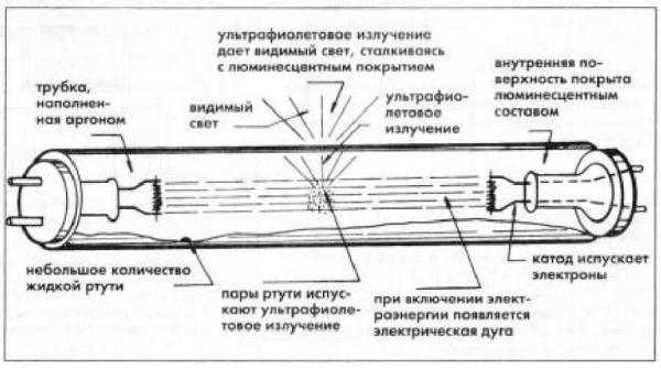 The basic structure of a fluorescent fluorescent lamp