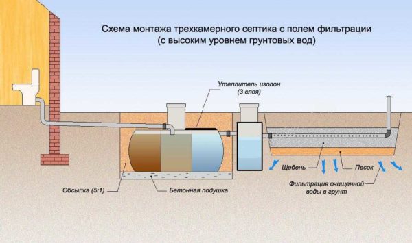 Diagram of the organization of an autonomous sewage system with a septic tank and a filtration field