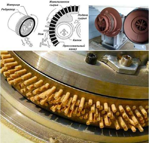 Cylindrical Die Granulator Device