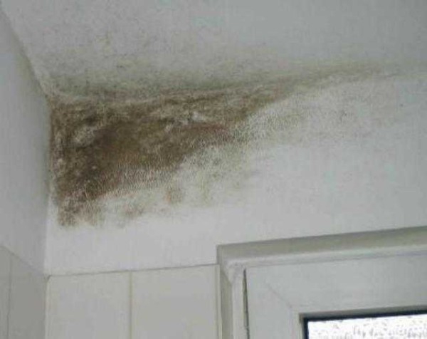 Wall insulation from the inside: the consequences
