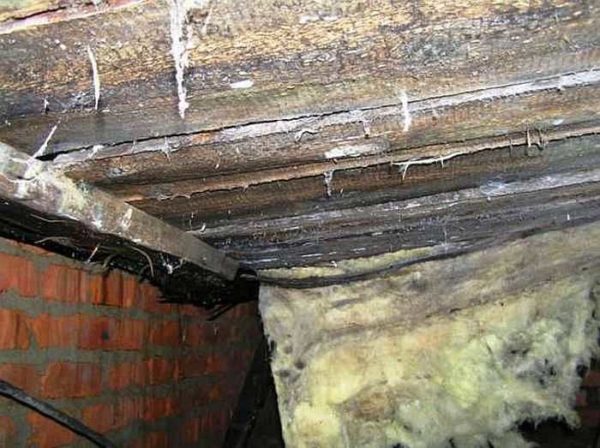 This is how an underground floor looks like after a few months without ventilation.