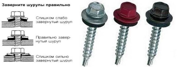 Self-tapping screws for metal profiles and rules for their installation