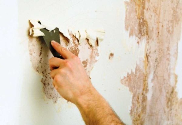 Scrubbing old paint off the walls most often with a spatula