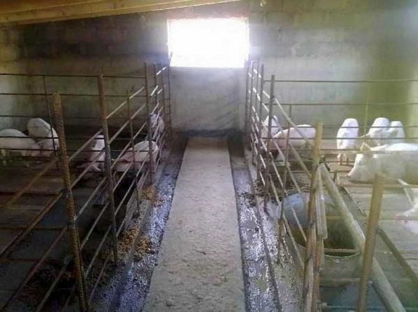 Concrete floor with drainage ditches