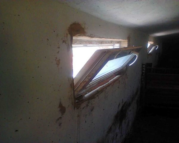 Reinforced-plastic windows are already being installed in pigsties