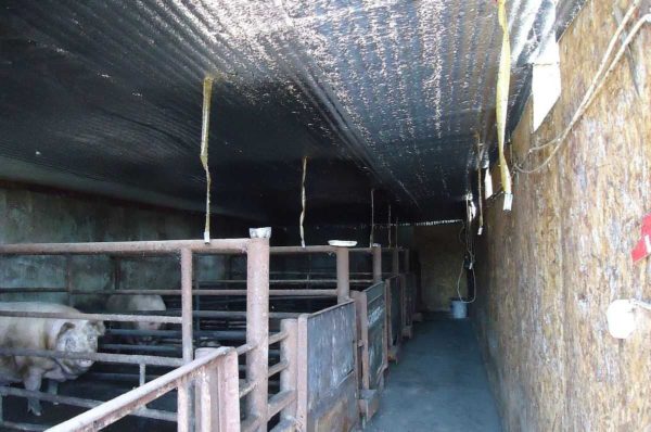 It is not cold on the concrete floor with insulation