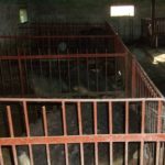 Pig pen fence made of rebar and steel strips