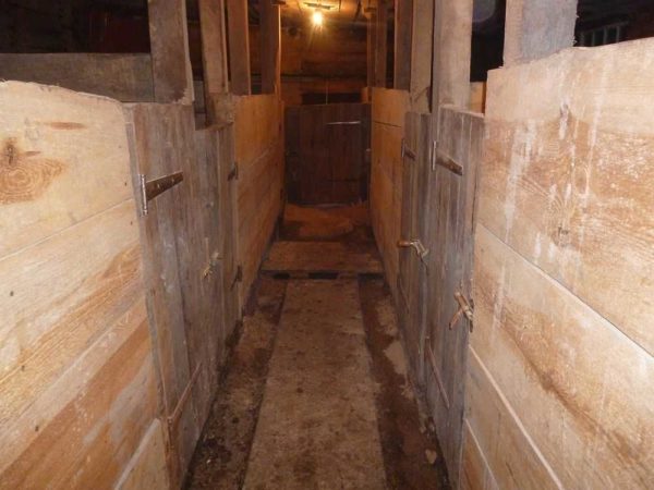 Hardwood floors are good, but not the best.
