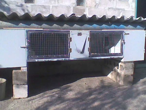 The roof of the rabbit cage (summer rabbitry) can be made of slate