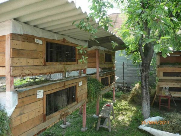 If the rabbitry is open, there is only a canopy, the walls of the cages are made double (mother house exactly), a heater is laid between them