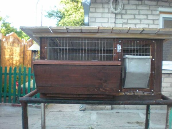 Sennik and bunker feeder are placed on the front net