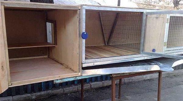 The queen cell attached to the cage for the rabbit