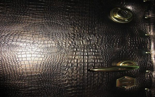 Crocodile skin