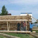 They are reliable - they can withstand an 11 meter log and three people