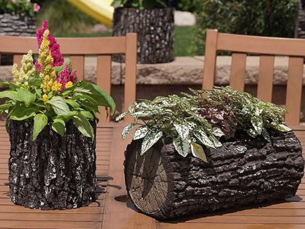 Sections of tree trunks make excellent decorative outdoor flowerpots.