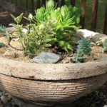 Low and wide bowl - can be made from a basin