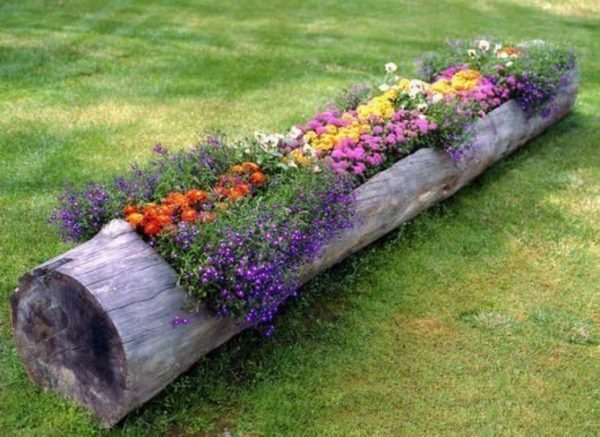 Flowerpots made of stumps and tree trunks can be of different sizes