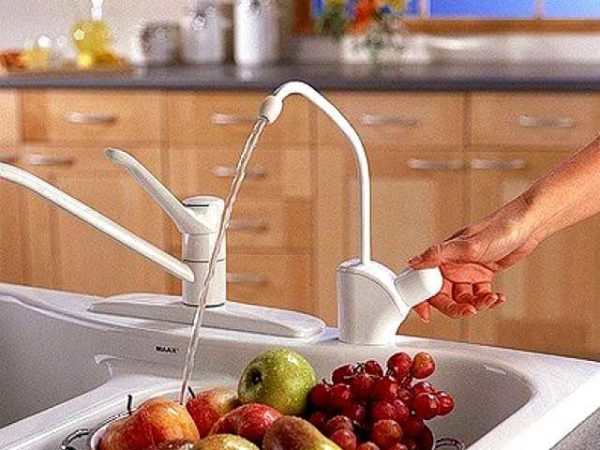 Water purified by reverse osmosis can be drunk without boiling