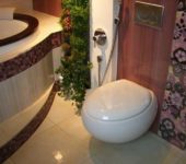 On the wall - a hygienic shower for the toilet