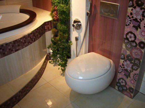 On the wall - a hygienic shower for the toilet
