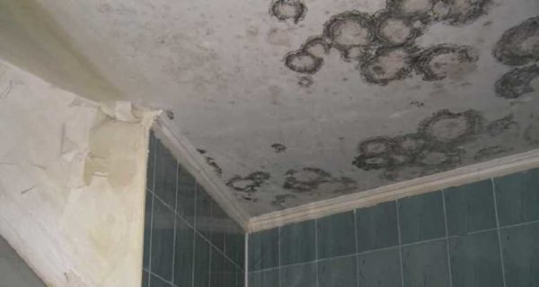 The reason for the appearance of mold and mildew in the bathroom is poor ventilation.