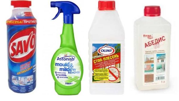 The most effective remedies for fungus and mold