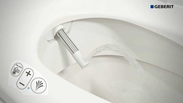 Toilet with bidet function