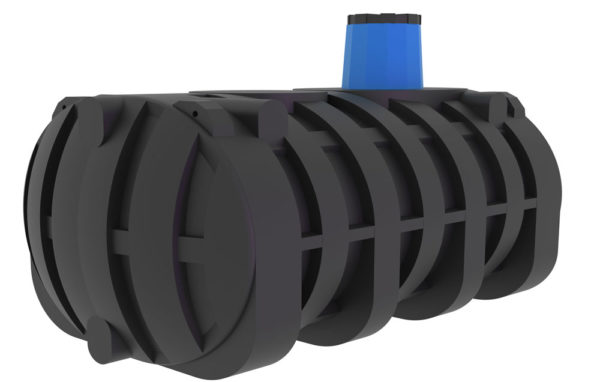 septic tank termite