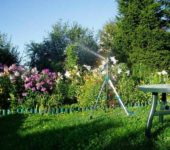 For watering the garden, you need to correctly select the pump