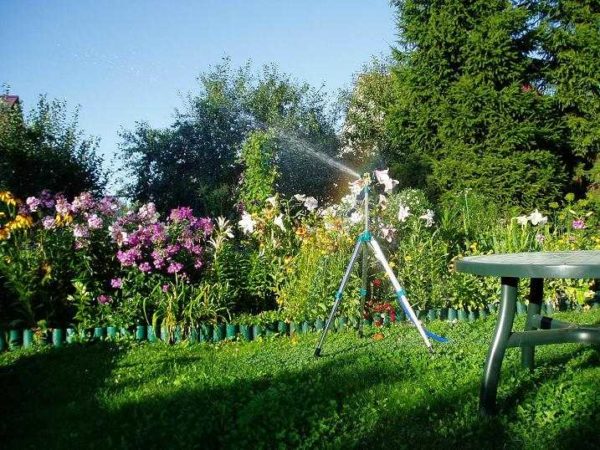 To water the garden, you need to correctly select the pump