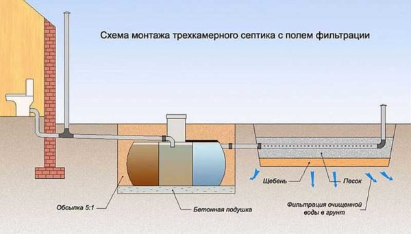 It is better to put such containers on a concrete slab.