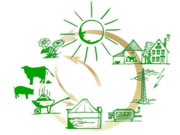 Energy can also be obtained from manure, only not in pure form, but in the form of gas