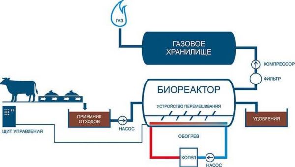 Schematic diagram of biogas plants