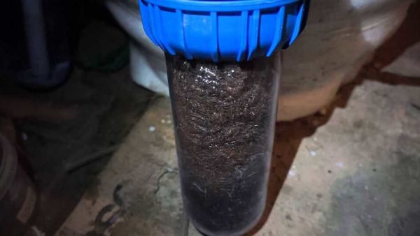 Filter for purification of biogas from hydrogen sulfide
