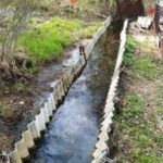 Drainage option for a summer cottage - cheap and cheerful