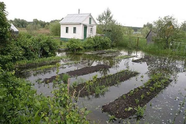 To avoid such a situation, drainage of the site is required