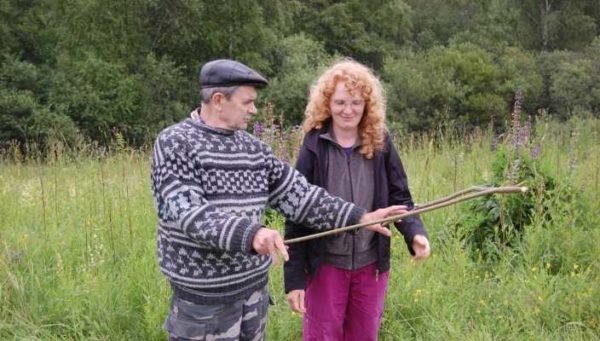 How to find water on the site with your own hands - this is how they work with the vine