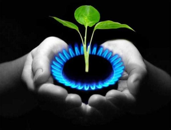 Construction of a biogas plant - a way of self-sufficiency with energy resources