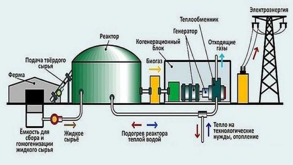 It is most advisable to locate the biogas plant so that waste from the farm can be supplied with motek