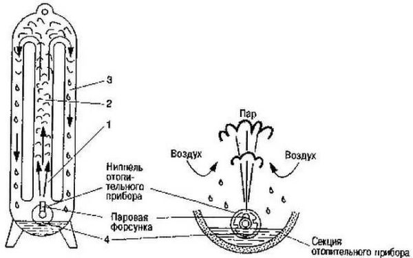 The steam in the radiators condenses, flows down, then is discharged through a special pipeline