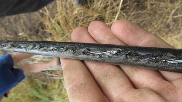 This is what a cable may look like if it is not intended to be buried in the ground after a few years.