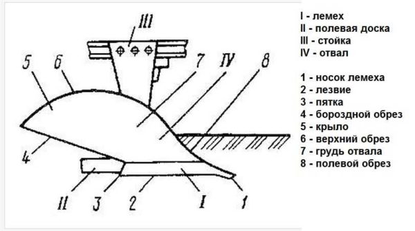 Body with share and blade